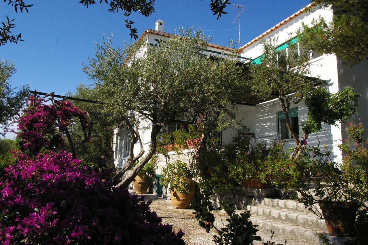 Il Rifugio B&B Capri Ανακάπρι Εξωτερικό φωτογραφία